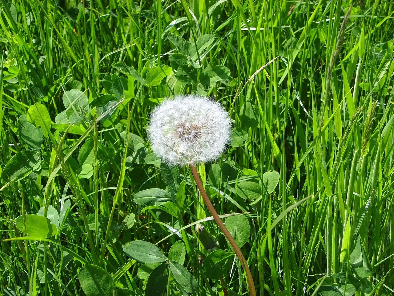 Grønne vaner for små hænder: Sjove måder at lære børn om genbrug og biodiversitet